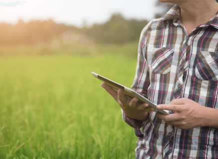 A person standing in a green field, holding a tablet device and wearing a plaid shirt. The background shows a blurred view of nature and the sun setting